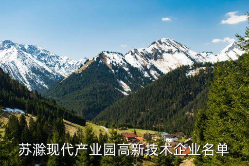 蘇滁現(xiàn)代產(chǎn)業(yè)園高新技術企業(yè)名單