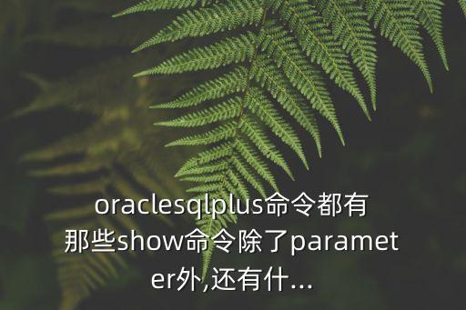 大型數(shù)據(jù)庫off指令,mysql添加數(shù)據(jù)庫指令