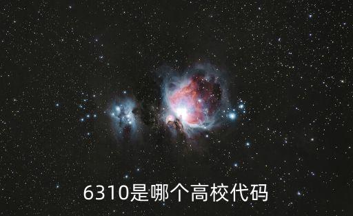 6310是哪個高校代碼