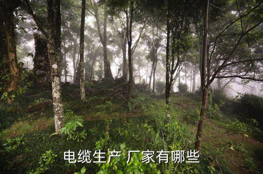 電纜生產(chǎn) 廠家有哪些