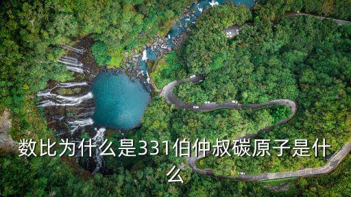 叔碳原子，伯仲叔季 碳原子都是什么意思 謝謝