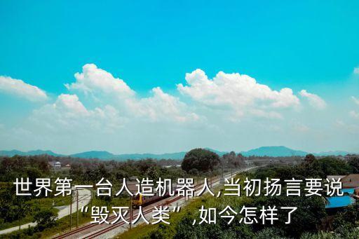索菲亞機(jī)器人國(guó)籍,世界上首個(gè)擁有國(guó)籍的機(jī)器人