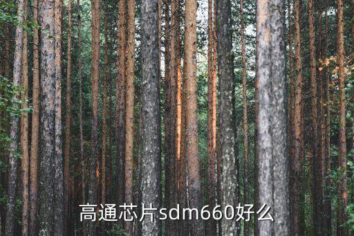高通sdm，高通sDm660八核和高通驍龍8395一樣嗎