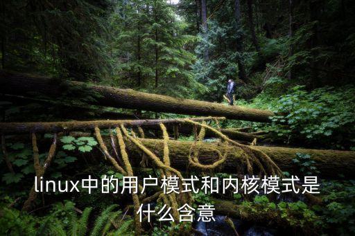 linux中的用戶(hù)模式和內(nèi)核模式是什么含意