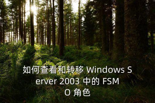 如何查看和轉(zhuǎn)移 Windows Server 2003 中的 FSMO 角色