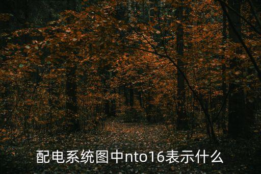 配電系統(tǒng)圖中nto16表示什么