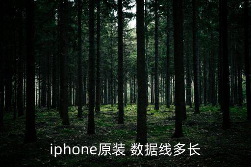 iphone原裝 數(shù)據(jù)線多長