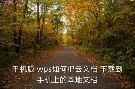手機(jī)版 wps如何把云文檔 下載到手機(jī)上的本地文檔