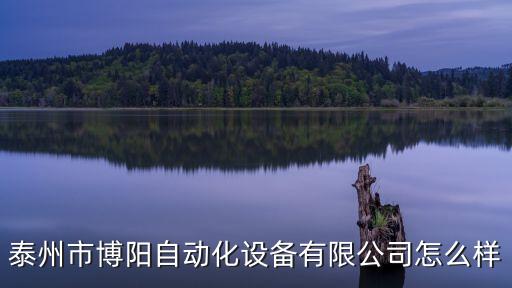 泰州市博陽(yáng)自動(dòng)化設(shè)備有限公司怎么樣