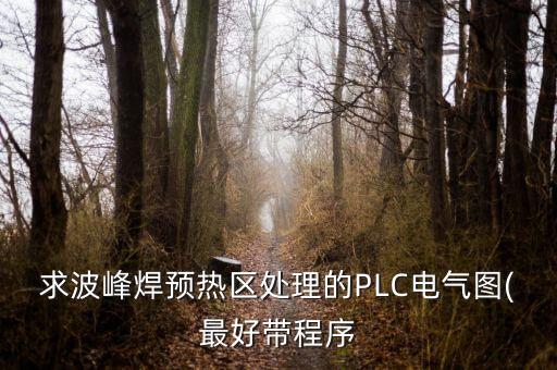 求波峰焊預(yù)熱區(qū)處理的PLC電氣圖(最好帶程序