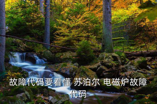 故障代碼要看懂 蘇泊爾 電磁爐故障代碼