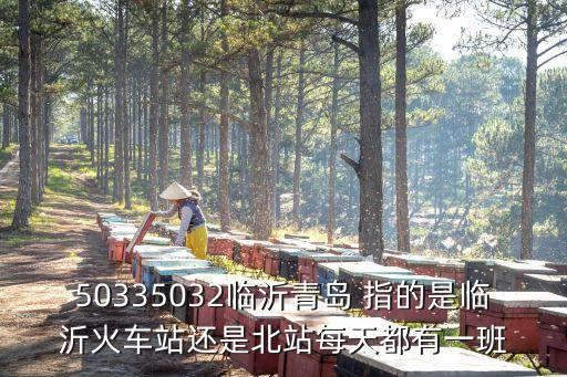 50335032臨沂青島 指的是臨沂火車站還是北站每天都有一班