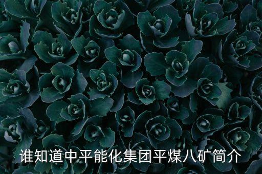 誰知道中平能化集團平煤八礦簡介