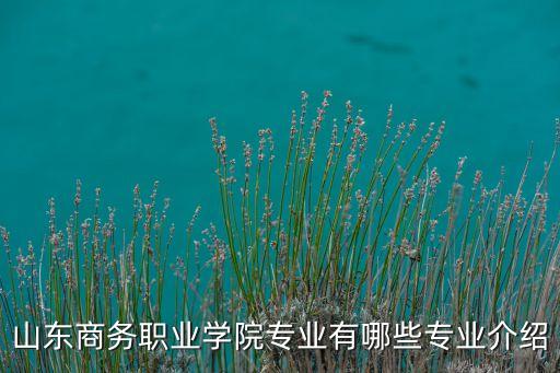 匯博機器人學(xué)院,匯匯機器人賦值指令有什么用?
