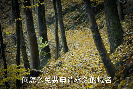 world域名西部數(shù)據(jù)查詢,怎么快速賣掉自己的域名?