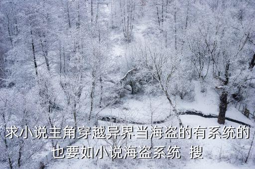 求小說主角穿越異界當海盜的有系統(tǒng)的也要如小說海盜系統(tǒng)  搜
