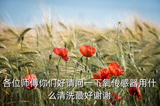 氧傳感器怎么清洗，各位師傅你們好請(qǐng)問(wèn)一下氧傳感器用什么清洗最好謝謝