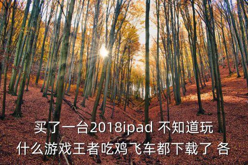 買了一臺(tái)2018ipad 不知道玩什么游戲王者吃雞飛車都下載了 各