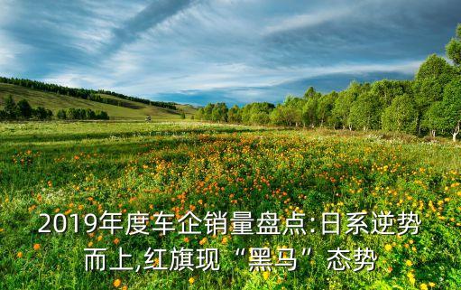 紅旗自動化終端是什么公司,華為終端bg是什么來頭?