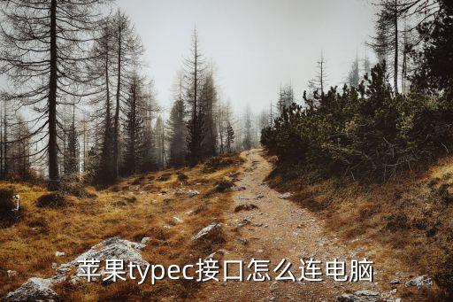蘋果typec接口怎么連電腦