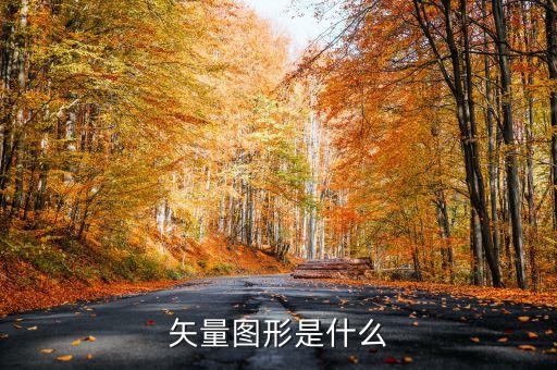 矢量圖是什么意思，矢量圖的定義