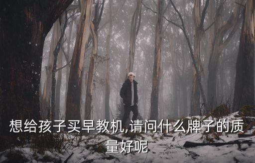 想給孩子買(mǎi)早教機(jī),請(qǐng)問(wèn)什么牌子的質(zhì)量好呢