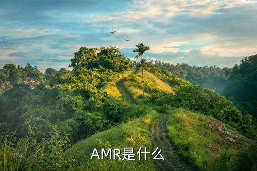amr，AMR是什么