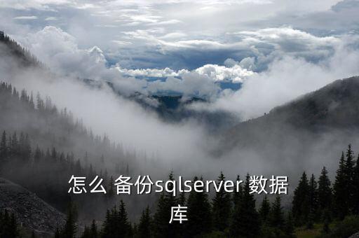 怎么 備份sqlserver 數(shù)據(jù)庫