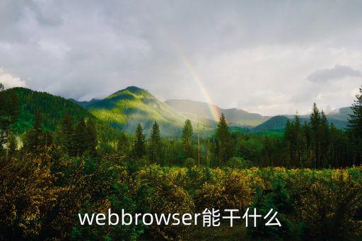 webbrowser能干什么