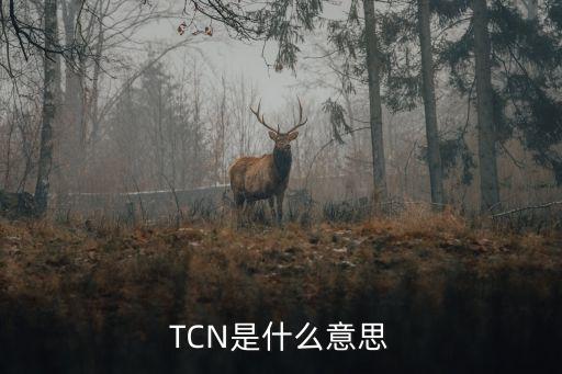 TCN，tcn是什么虛擬貨幣
