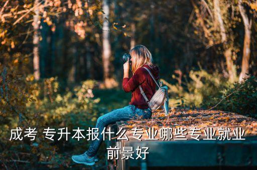 成考 專升本報什么專業(yè)哪些專業(yè)就業(yè)前景好