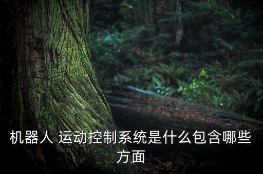 機(jī)器人 運(yùn)動(dòng)控制系統(tǒng)是什么包含哪些方面