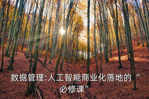  數(shù)據(jù)管理:人工智能商業(yè)化落地的“必修課”