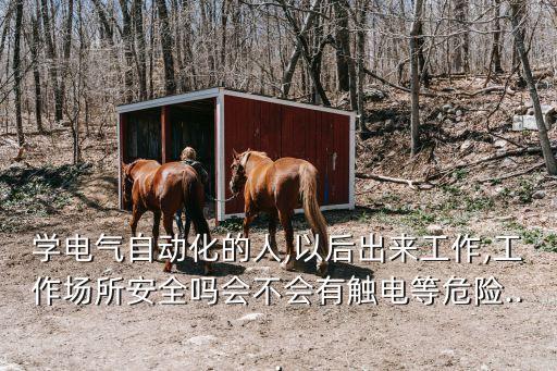 學(xué)電氣自動化的人,以后出來工作,工作場所安全嗎會不會有觸電等危險...