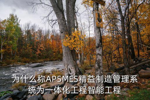 aps系統(tǒng)，apsatpmrp的含義是什么
