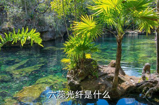 六蕊光纖是什么