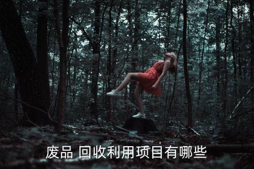 廢品 回收利用項目有哪些