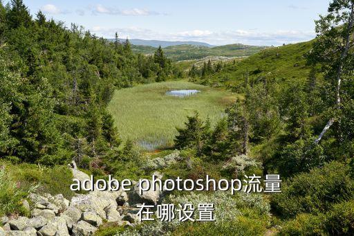 adobe photoshop流量在哪設置