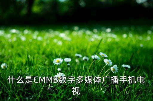 什么是CMMB數(shù)字多媒體廣播手機(jī)電視