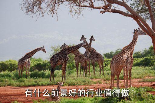 有什么前景好的行業(yè)值得做