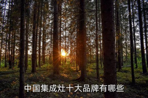 中國集成灶十大品牌有哪些