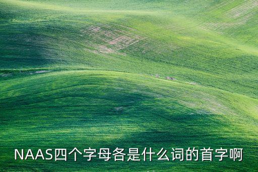 NAAS四個字母各是什么詞的首字啊