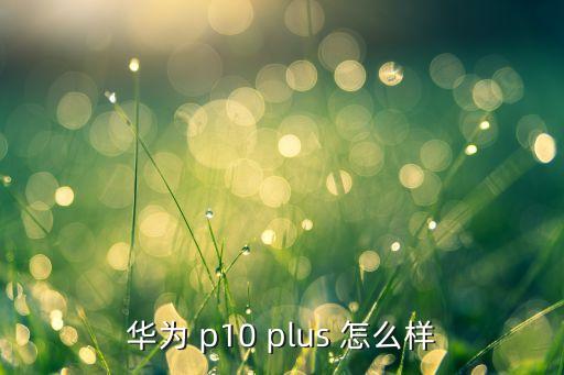 華為 p10 plus 怎么樣
