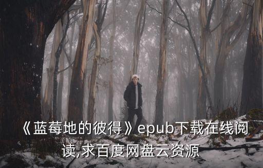 《藍(lán)莓地的彼得》epub下載在線閱讀,求百度網(wǎng)盤云資源