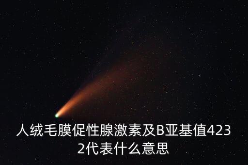 4232，人絨毛膜促性腺激素及B亞基值4232代表什么意思