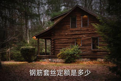 鋼筋套絲定額是多少
