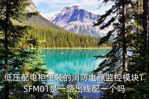 低壓配電柜里裝的消防電源監(jiān)控模塊TSFM01是一路出線配一個(gè)嗎