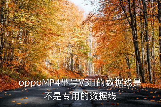 oppoMP4型號V3H的數(shù)據(jù)線是不是專用的數(shù)據(jù)線