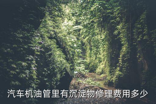 汽車機油管里有沉淀物修理費用多少