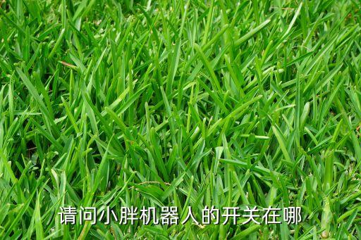 請問小胖機器人的開關(guān)在哪